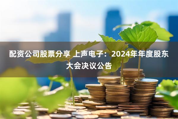配资公司股票分享 上声电子：2024年年度股东大会决议公告